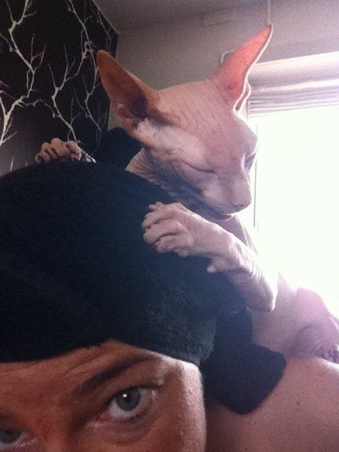 Sphynx Aslan - Total glad for mor er hjemme  billede 11