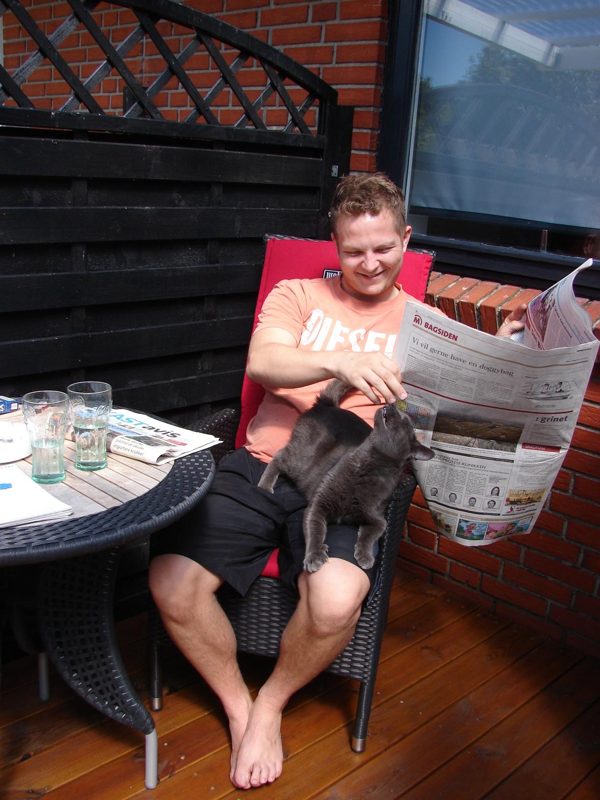 Huskat Bandit billede 14