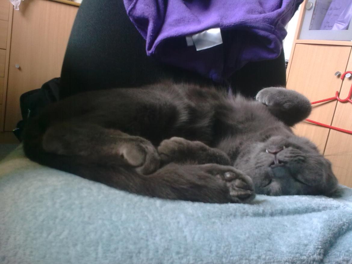 Blanding af racer Mikkel - Juni 2012 billede 14