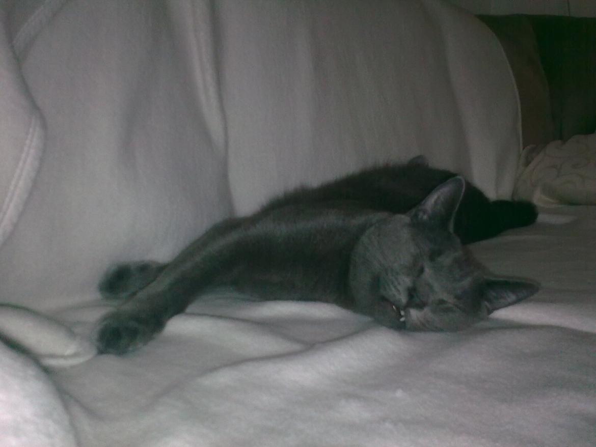 Blanding af racer Mikkel - Juni 2012 billede 15