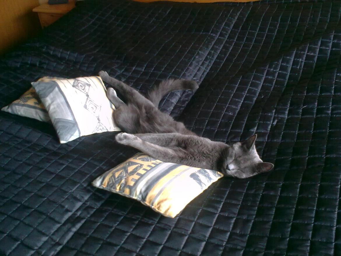 Blanding af racer Mikkel - Juli 2012 billede 17