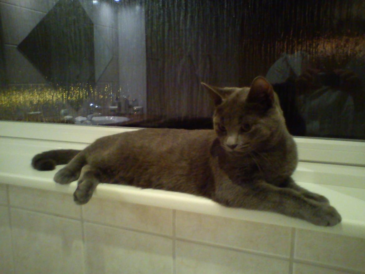 Blanding af racer Mikkel - Dec. 2011 billede 18