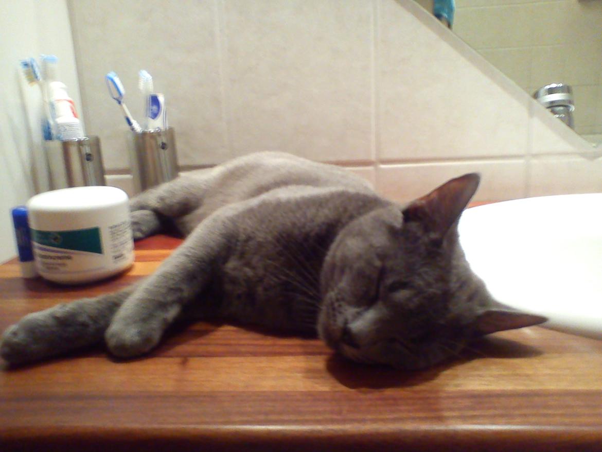 Blanding af racer Mikkel - Jan. 2012 billede 19