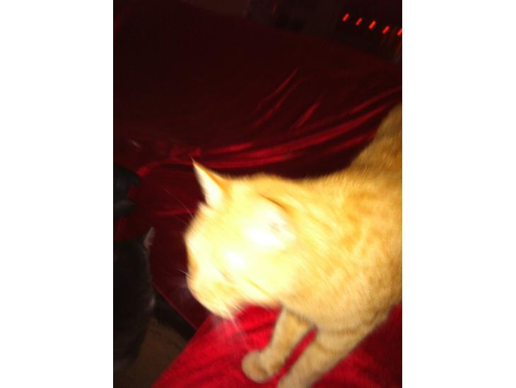 {{currentPhoto.altText}} billede {{currentPhoto.number}}