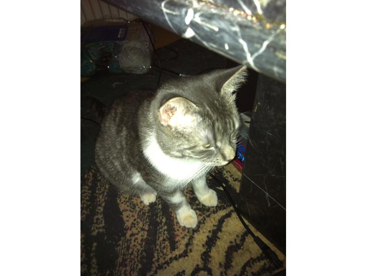 {{currentPhoto.altText}} billede {{currentPhoto.number}}