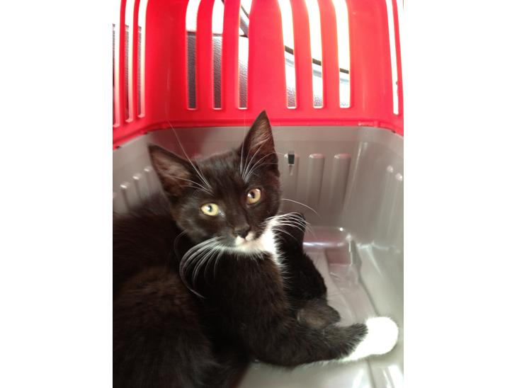 {{currentPhoto.altText}} billede {{currentPhoto.number}}