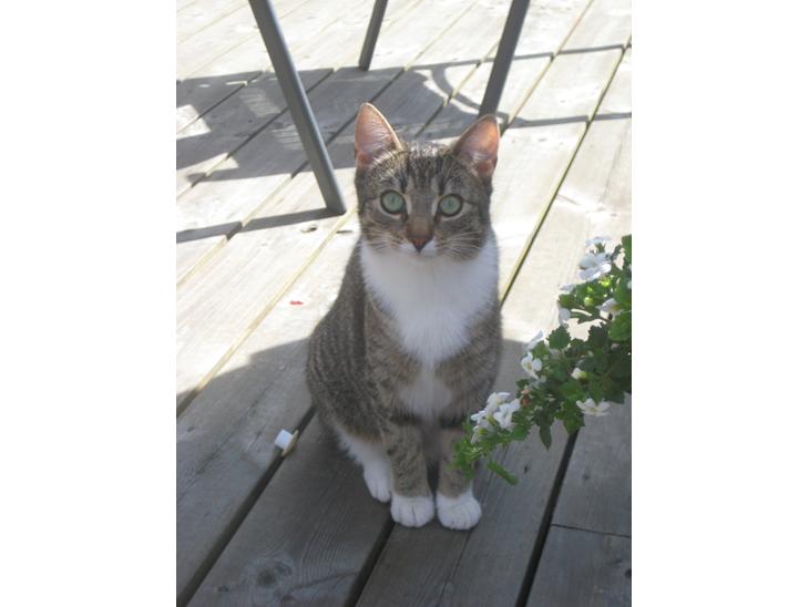 {{currentPhoto.altText}} billede {{currentPhoto.number}}