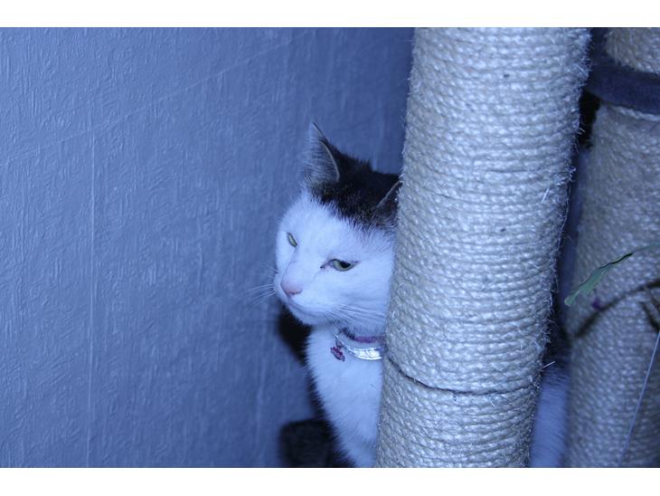 {{currentPhoto.altText}} billede {{currentPhoto.number}}