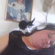 Blanding af racer Mischa