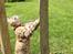 Blanding af racer Sniper
