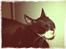 Huskat Lille John