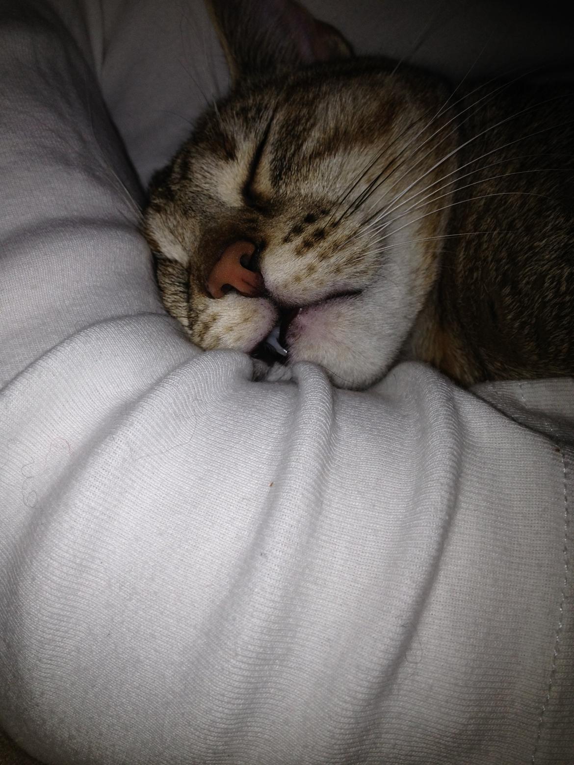 Blanding af racer Sniper billede 16