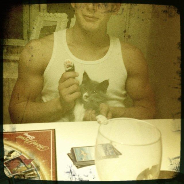 Huskat Robin hood - elsker at være med til spille aften, de små brikker der er på bordet er det til mig? billede 5