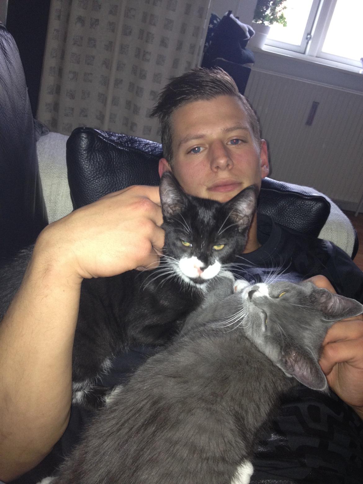 Huskat Lille John billede 9