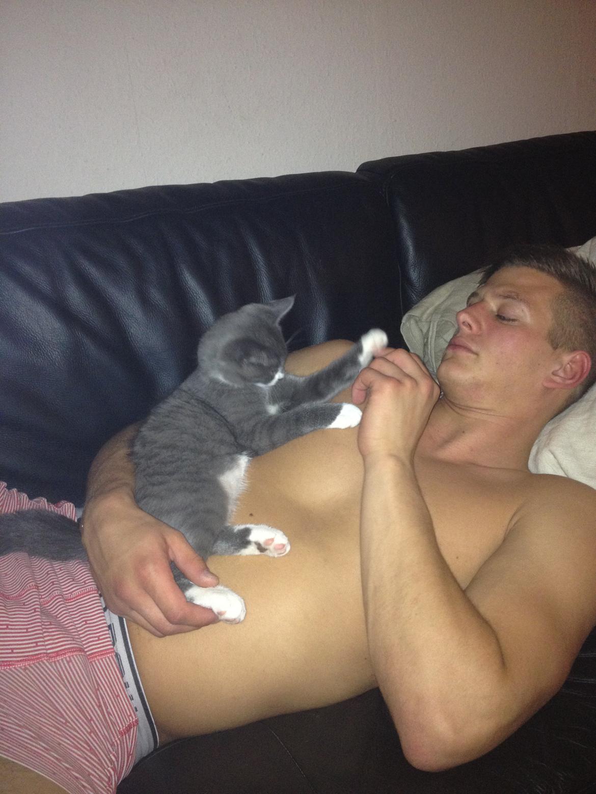 Huskat Robin hood - ta' den far ! billede 11