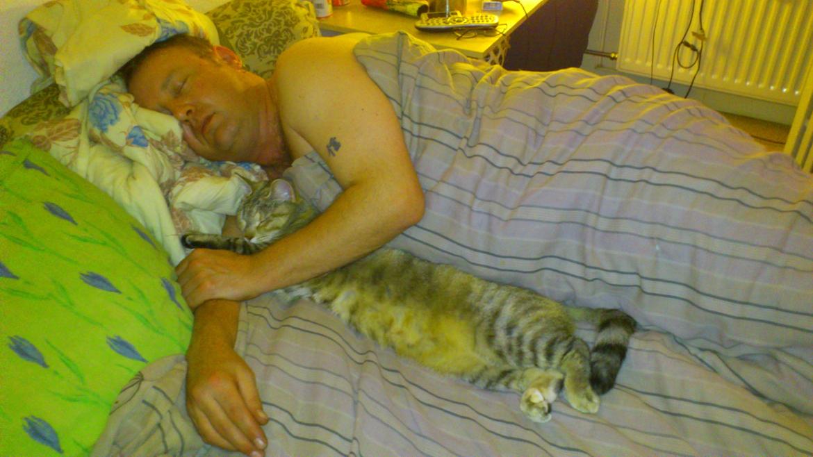 Huskat Silvia billede 14