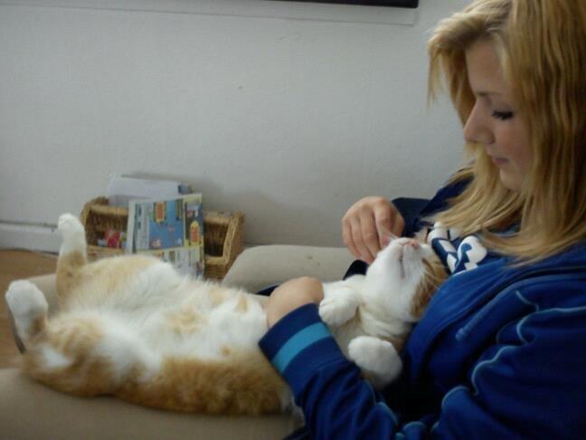 Huskat Elvis billede 12