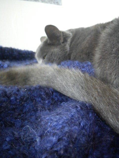 Blanding af racer Thomas(O'Malley) billede 11