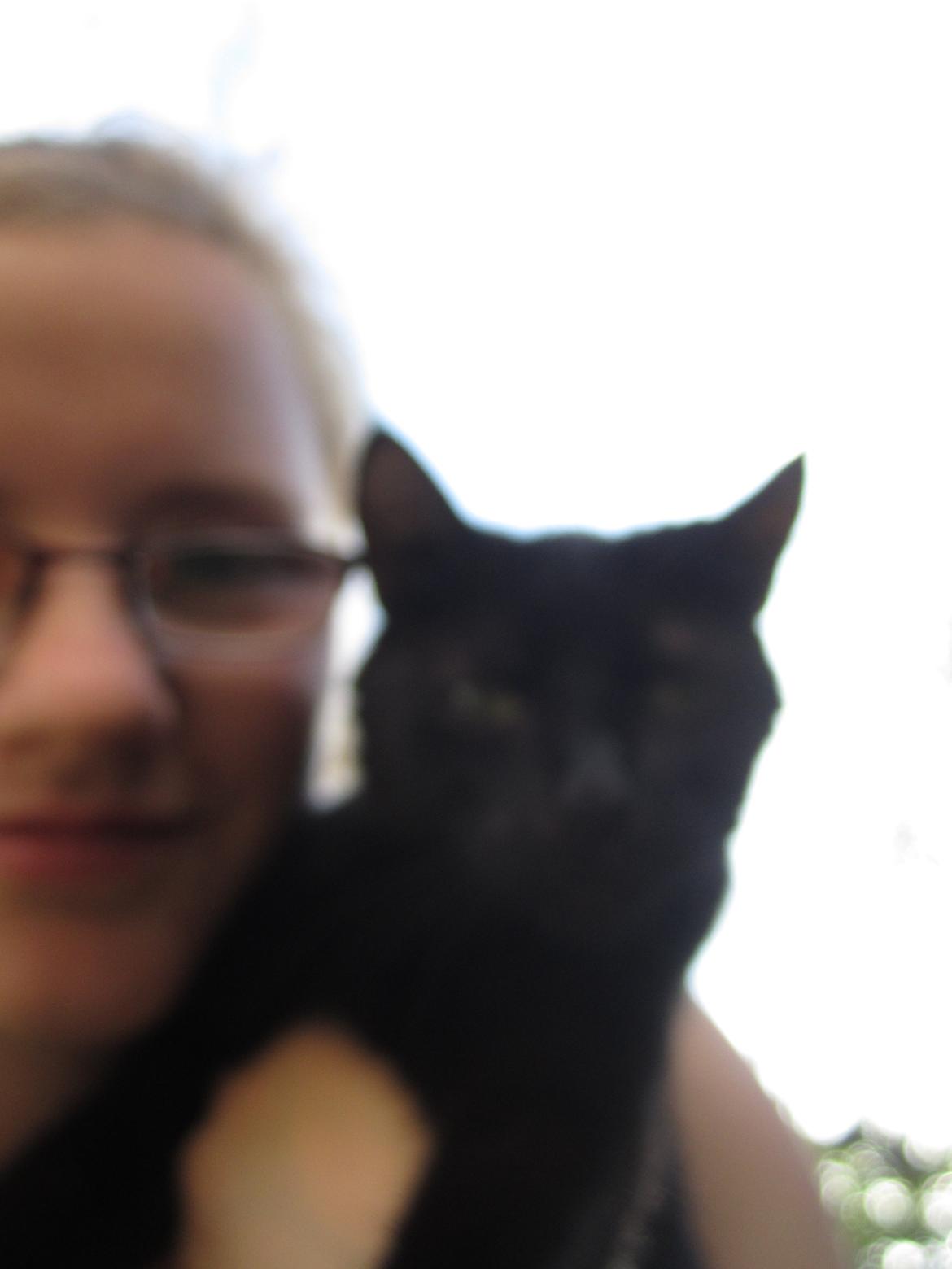 Huskat Mille billede 3