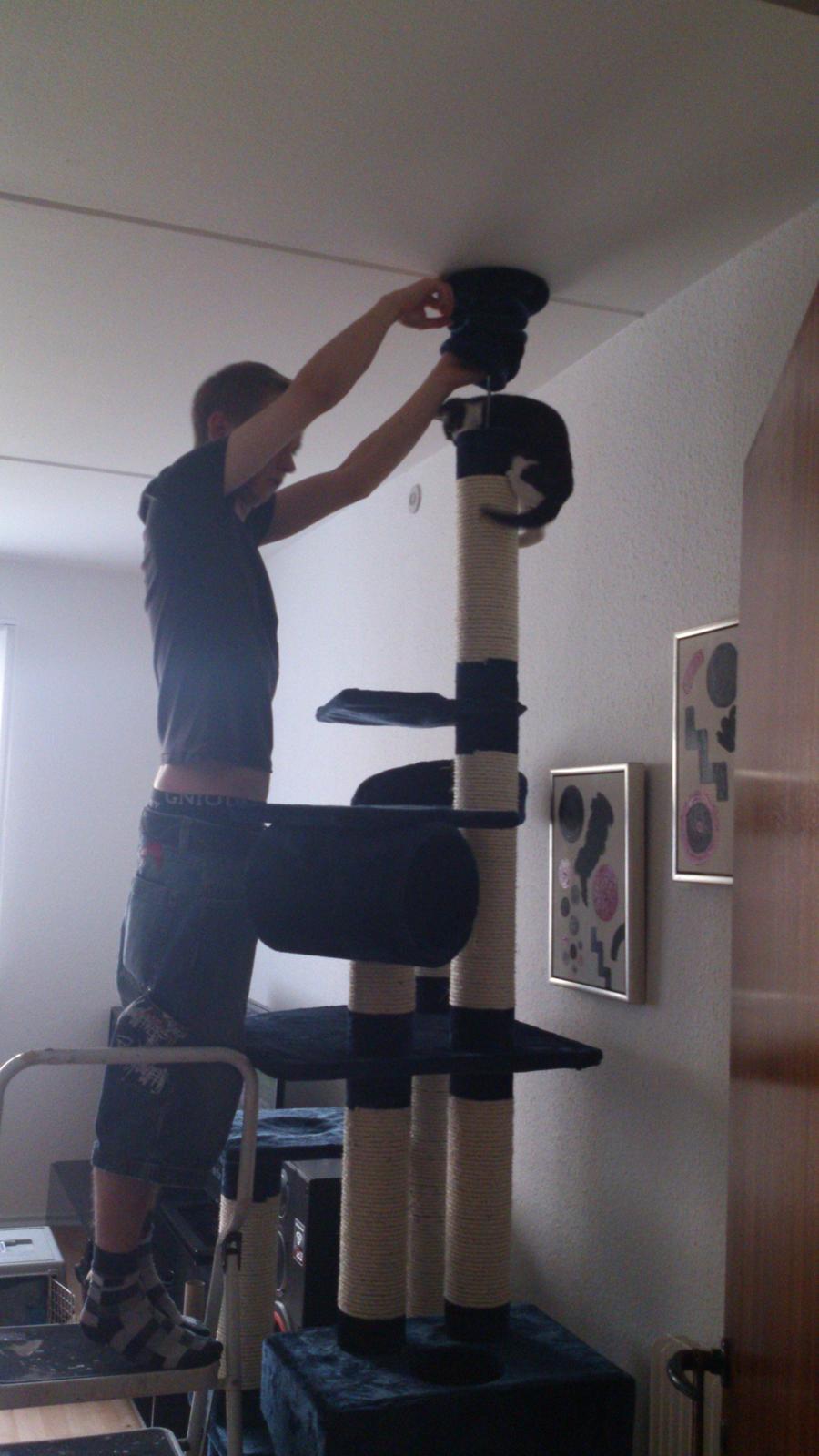 Huskat Jax billede 6