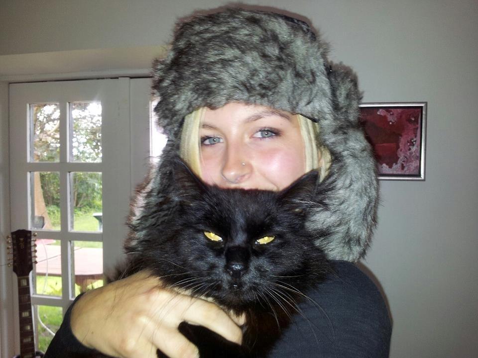 Norsk Skovkat Sammi Doll billede 1