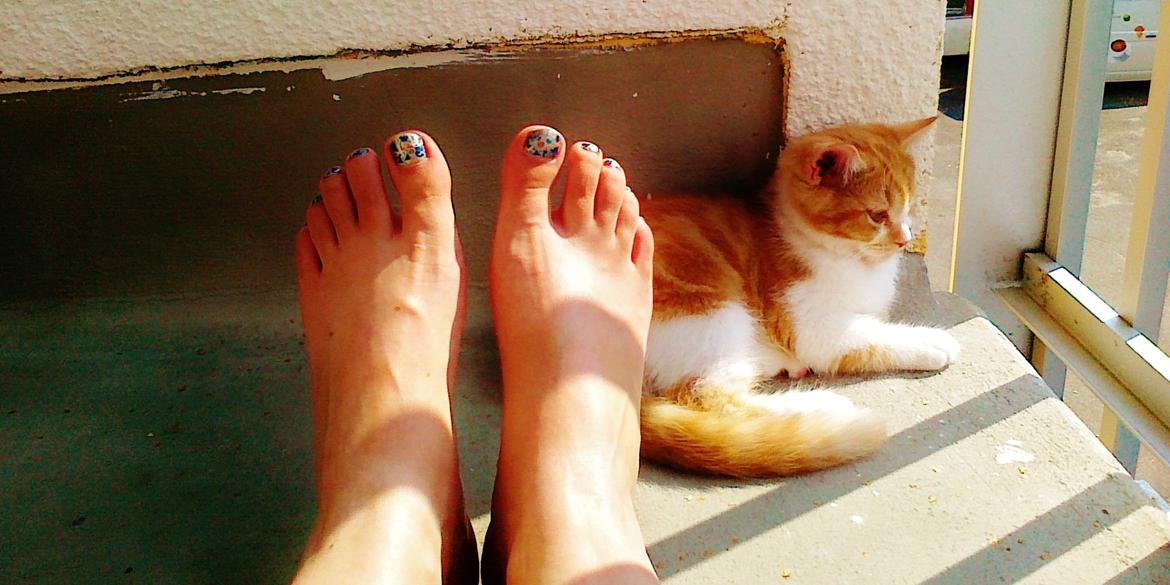 Blanding af racer Mowgli billede 7