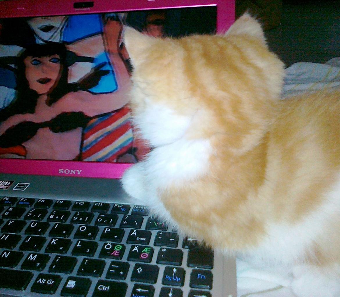 Blanding af racer Mowgli billede 13