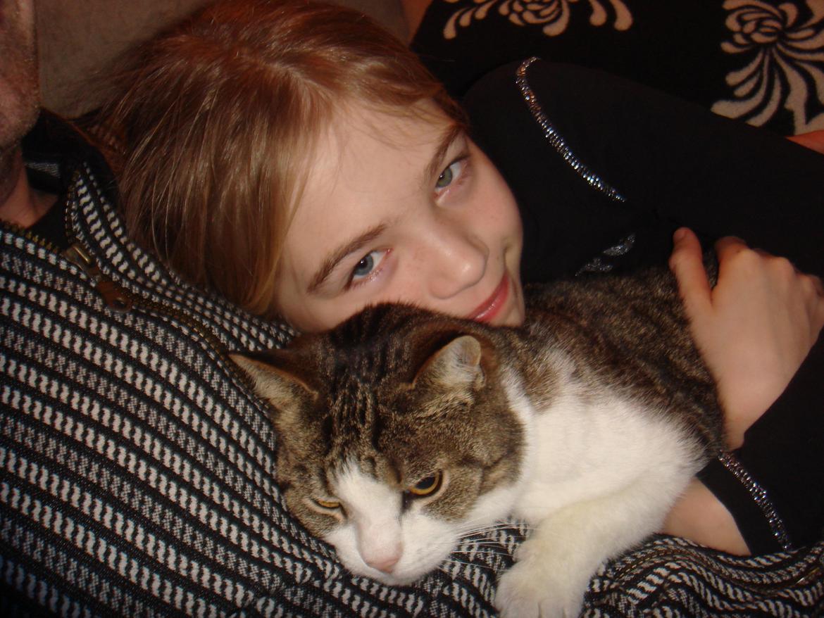 Huskat Tulle billede 7