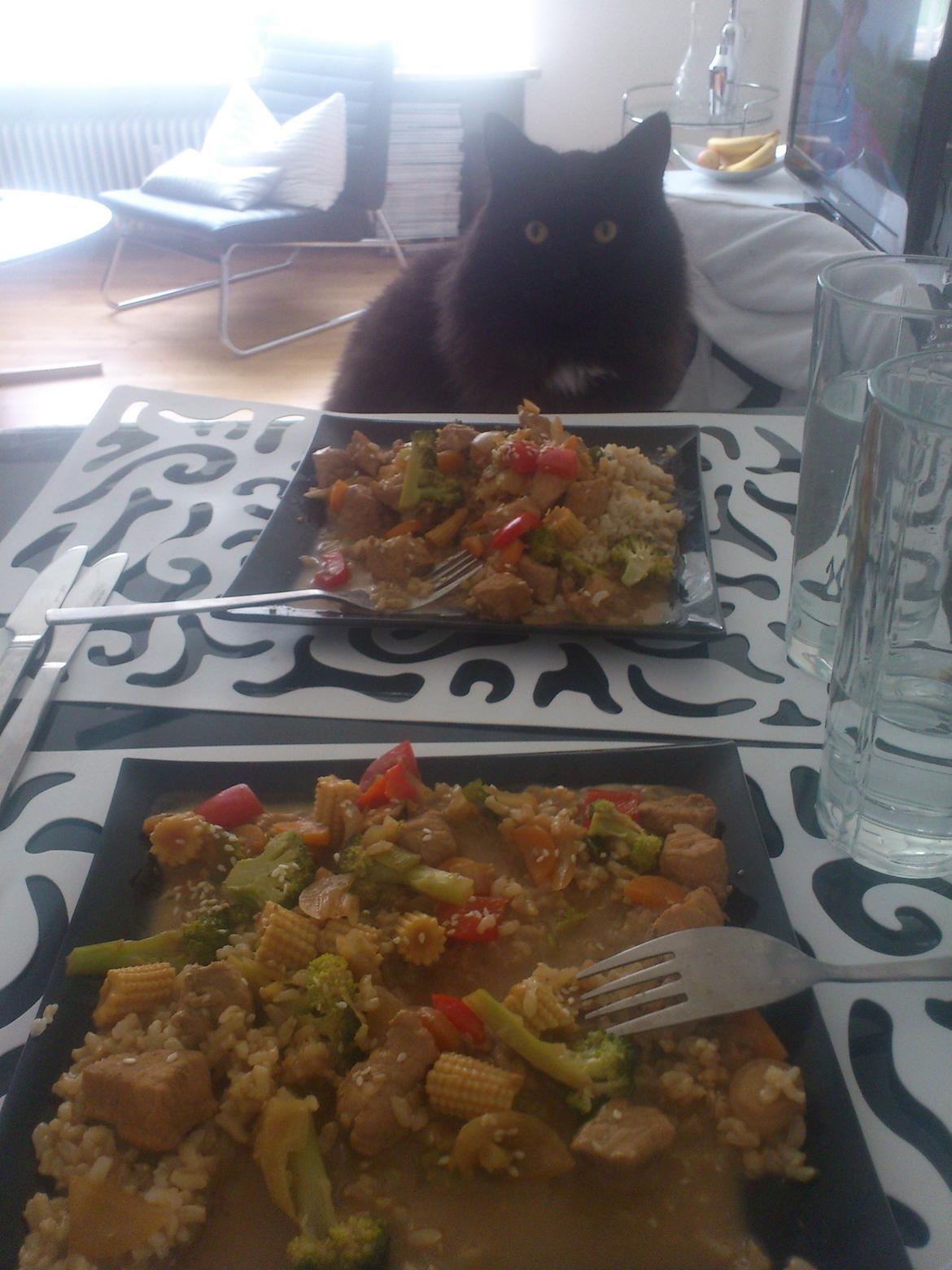 Blanding af racer Nero billede 12