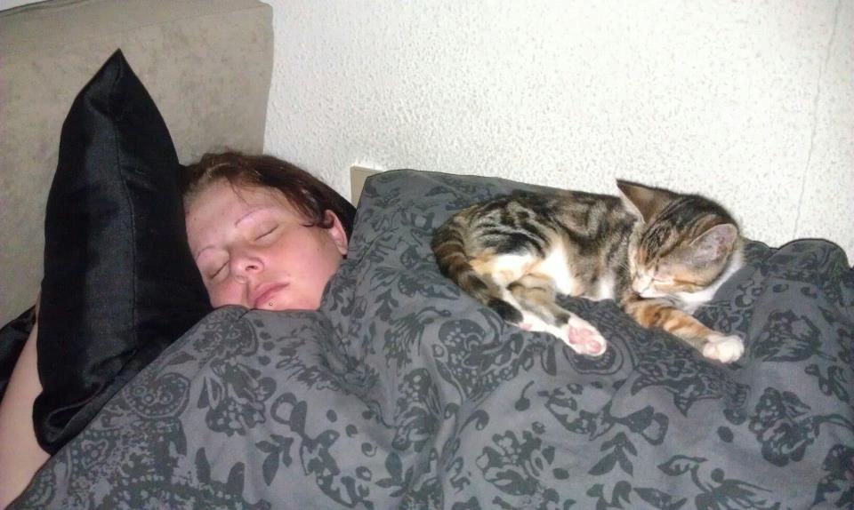 Blanding af racer Hope - Ja hun er en hyggefis. Ligger syg og hun ligger med:)
 billede 6