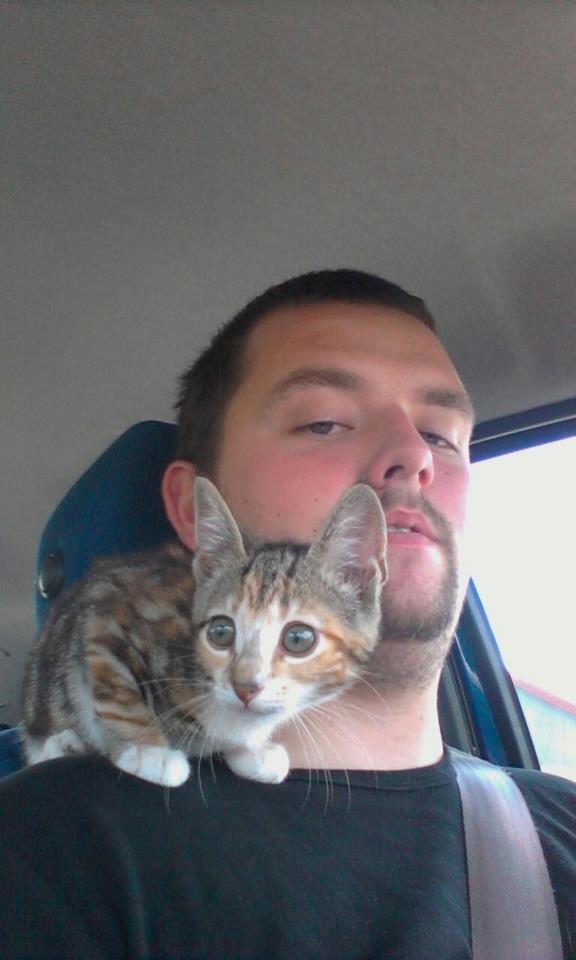 Blanding af racer Hope - Ude og køre bil med kæresten. På vej hjem fra dyrelægen billede 5