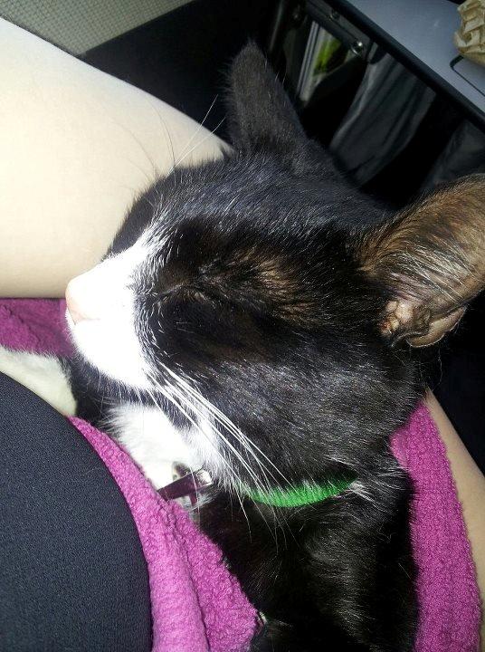 Huskat Jensen - Min mor & Jeg på vej hjem i toget fra jylland, hvor jeg stammer fra :) billede 2