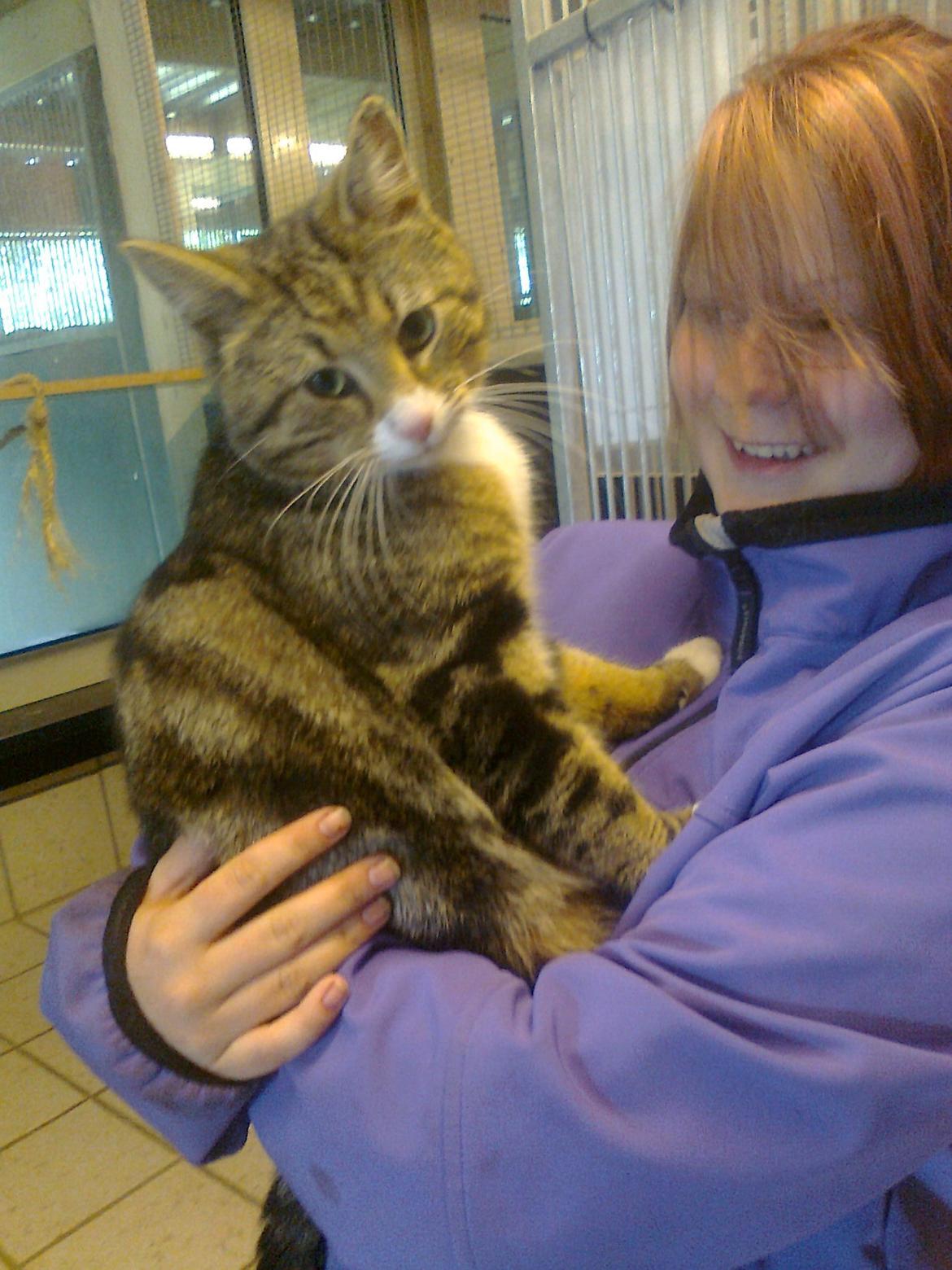 Blanding af racer Bubber - Den dag vi hentede ham sammen med min veninde billede 10