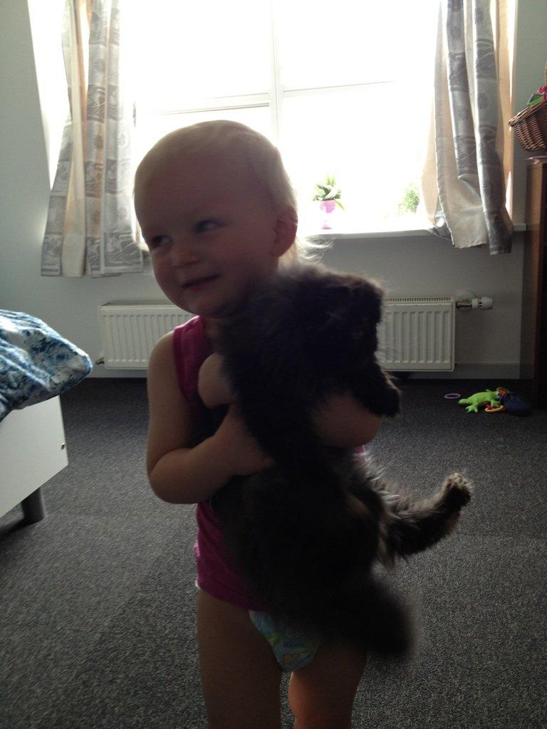 Perser Mejlvang's Gabriell - Min datter blev meget glad :-) billede 6