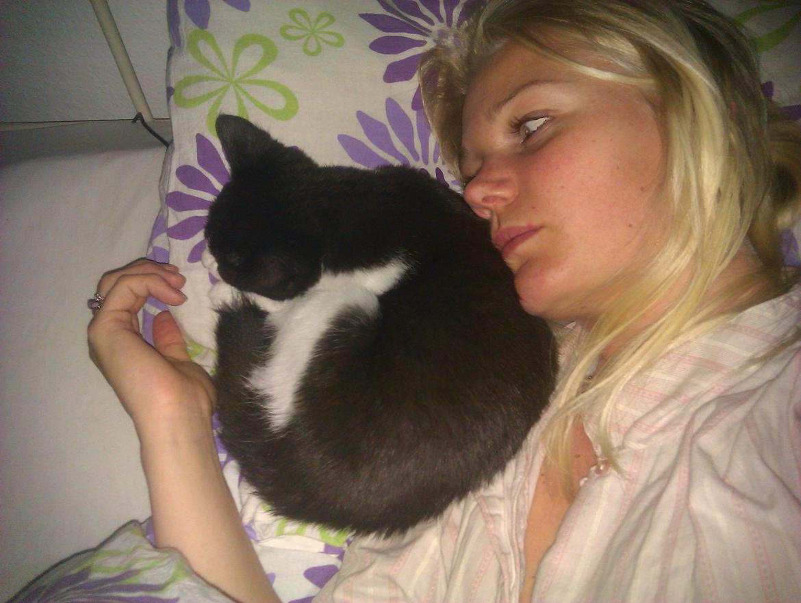 Huskat Dexter - Jeg ligger gerne heeelt tæt på mor og putter  billede 3
