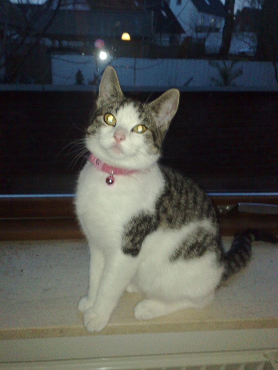 Huskat Berta billede 1