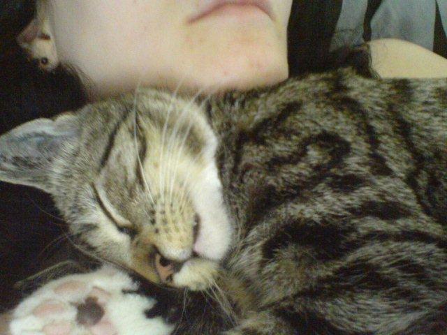 Huskat Zera - En lille hyggetrold <3 billede 9