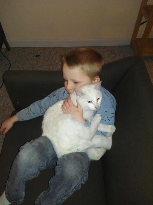 Huskat Milo - Sønnen og Milo ser Disney Sjov :) billede 12