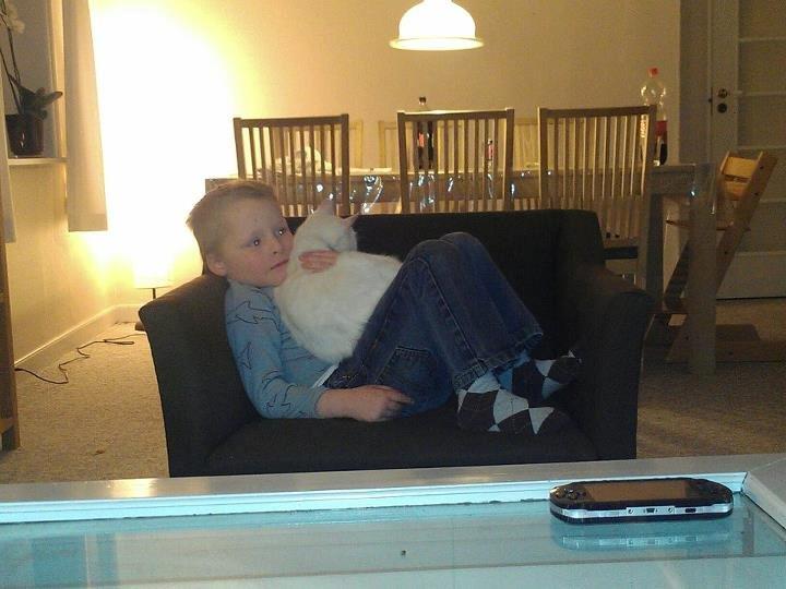 Huskat Milo - Så er der dømt hygge billede 13