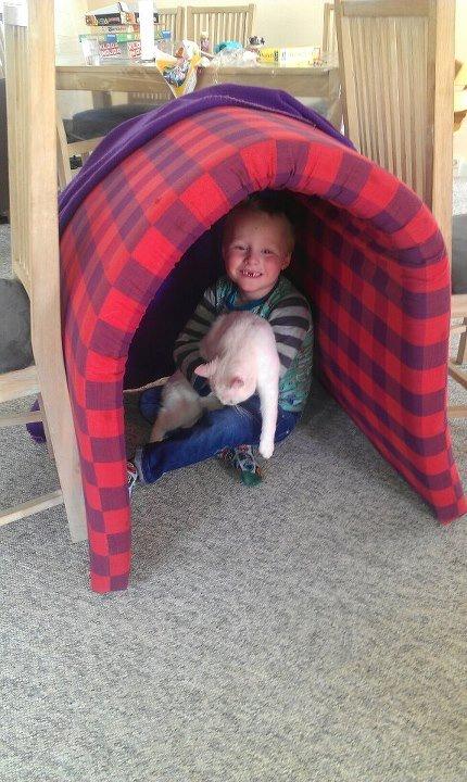 Huskat Milo - Sønnen og Milo er flyttet hjemmefra - dog ikke længere end at de stadig kan komme i køleskabet ;) billede 14