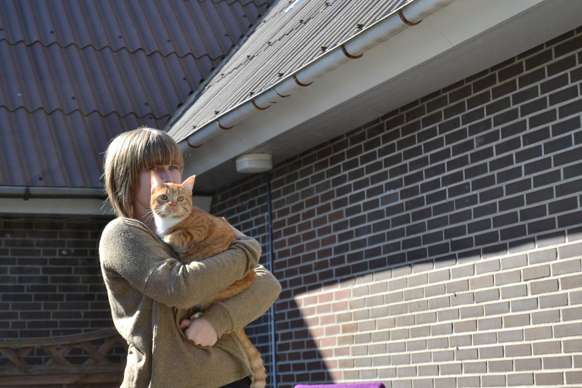 Huskat Simba billede 8