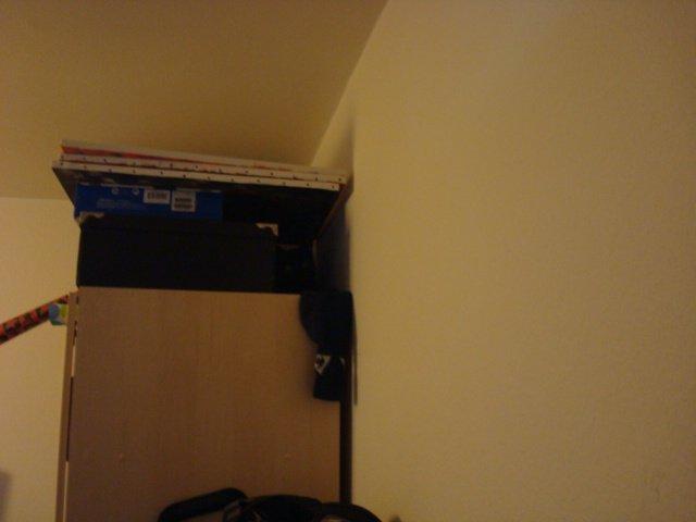 Huskat Nova - Kan du se mig?? ;-) billede 6