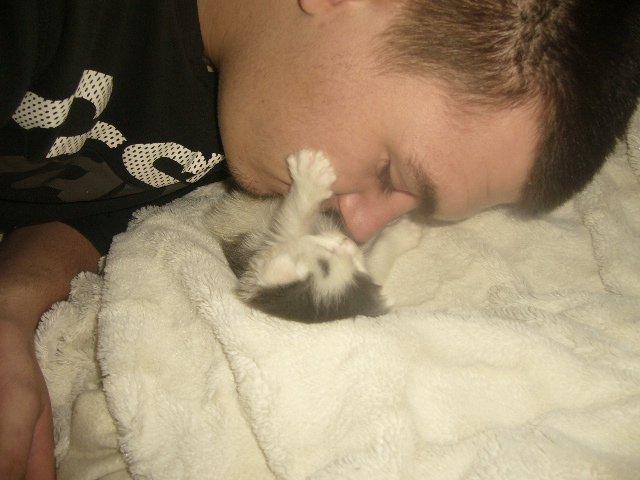 Maine Coon Tais billede 15