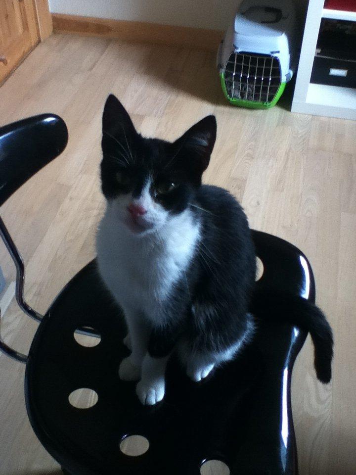 Huskat ~ Fiona † ** Sov sødt min elskede skat <3** - 22.08.2012 billede 24