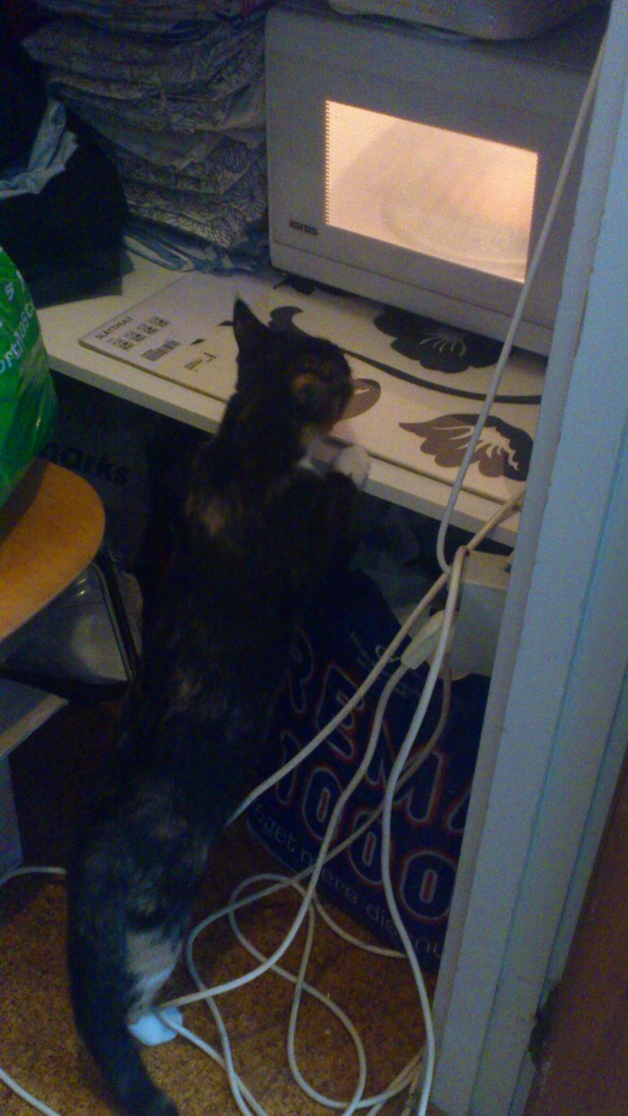 Huskat Fighter - Så er der fjernsyn for dig.. billede 18