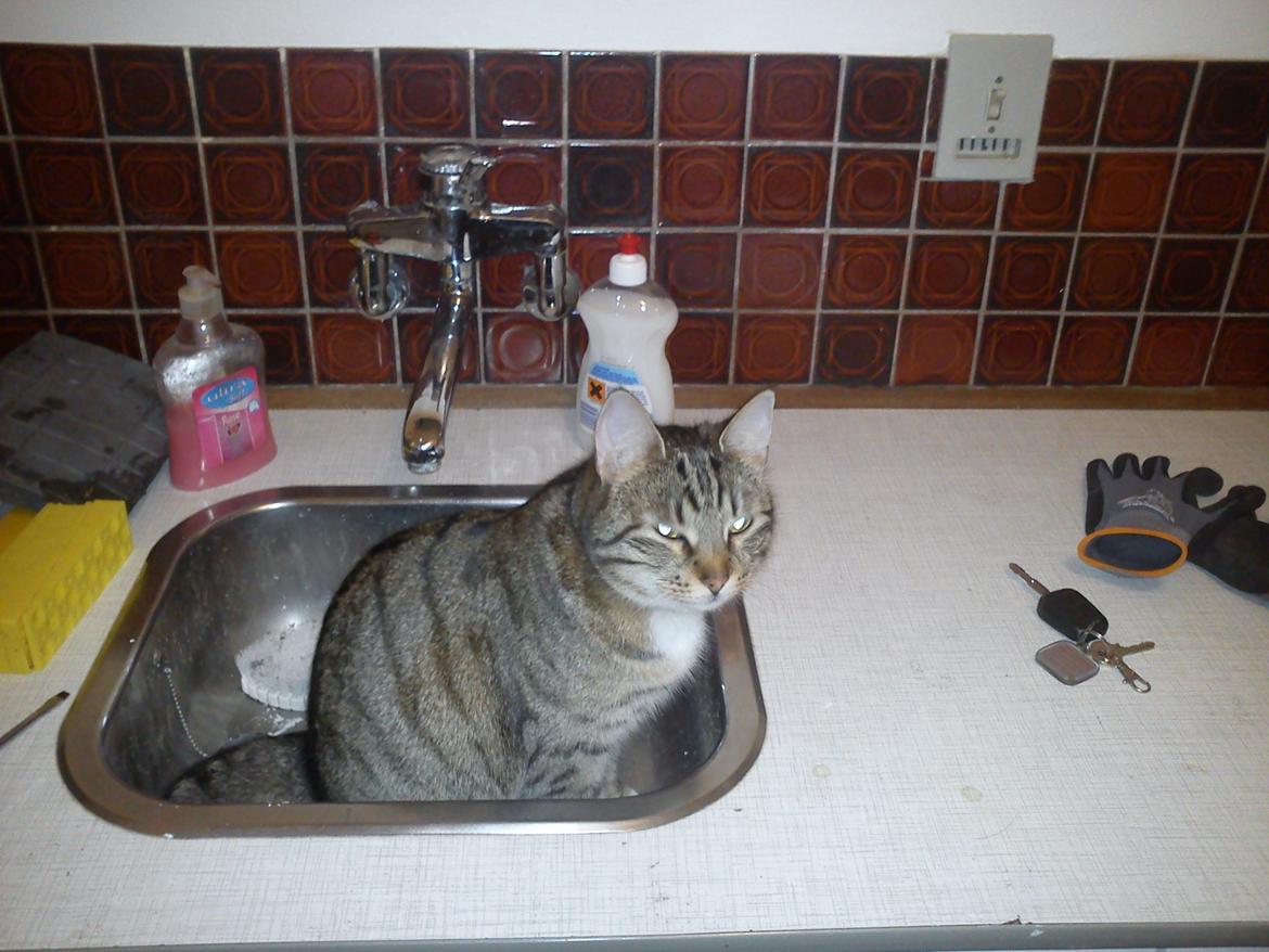 Huskat Silke - Nu har jeg overblik over bruggerset:) billede 12