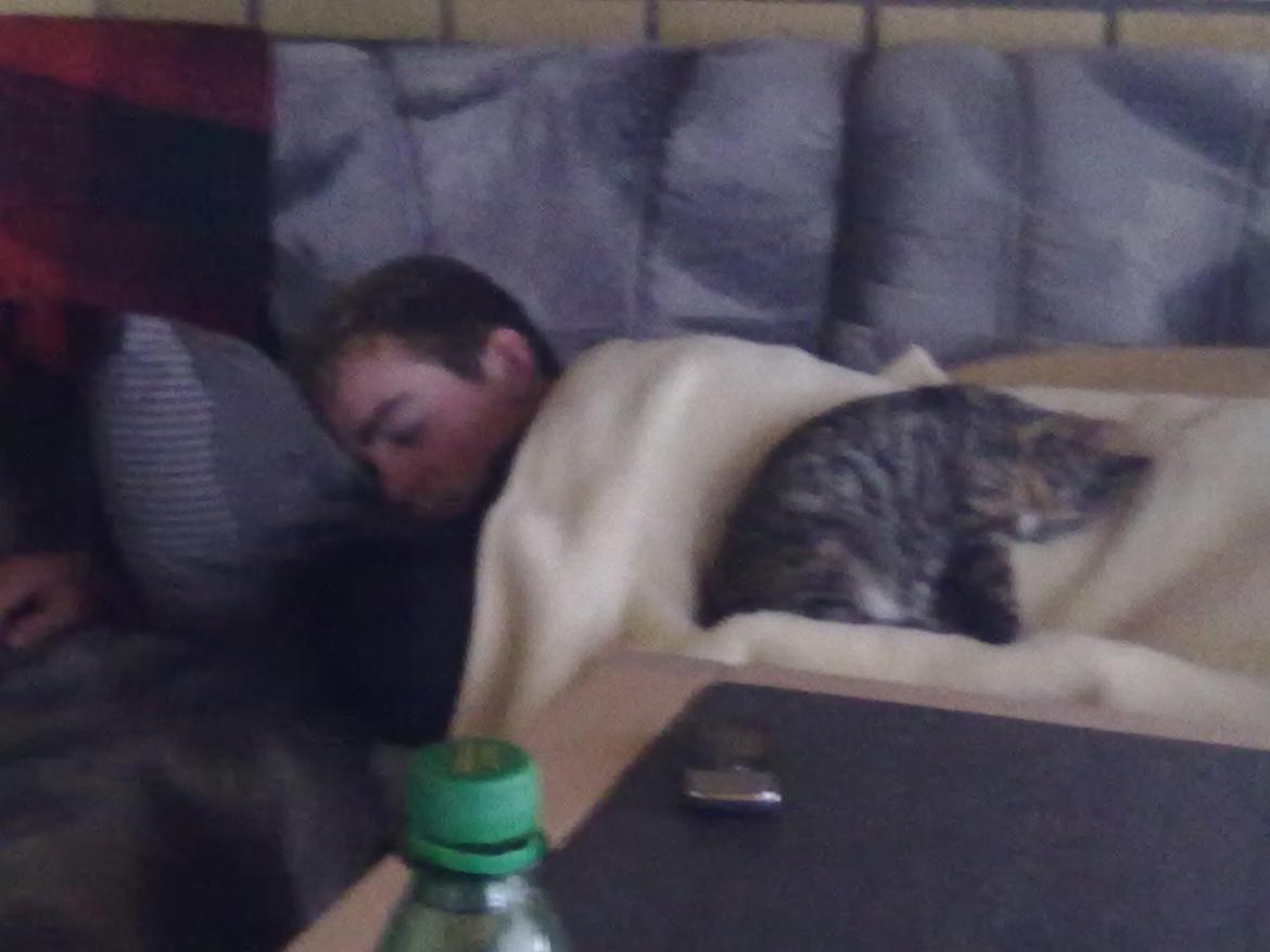 Huskat Speedy - sover til middag sammen med min far:) billede 6