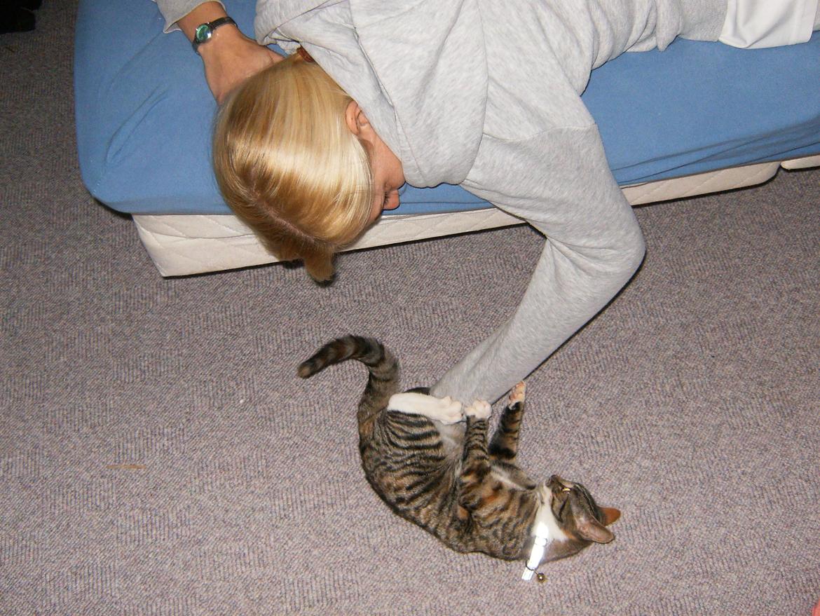 Huskat Speedy - Der leges lig lidt:) billede 11