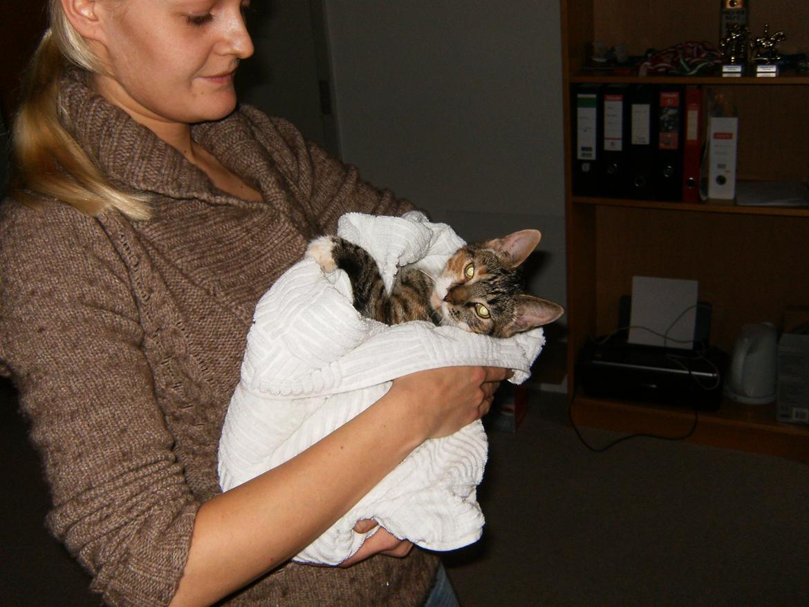 Huskat Speedy - Det her er det bedste når jeg har været med i bad:) billede 13