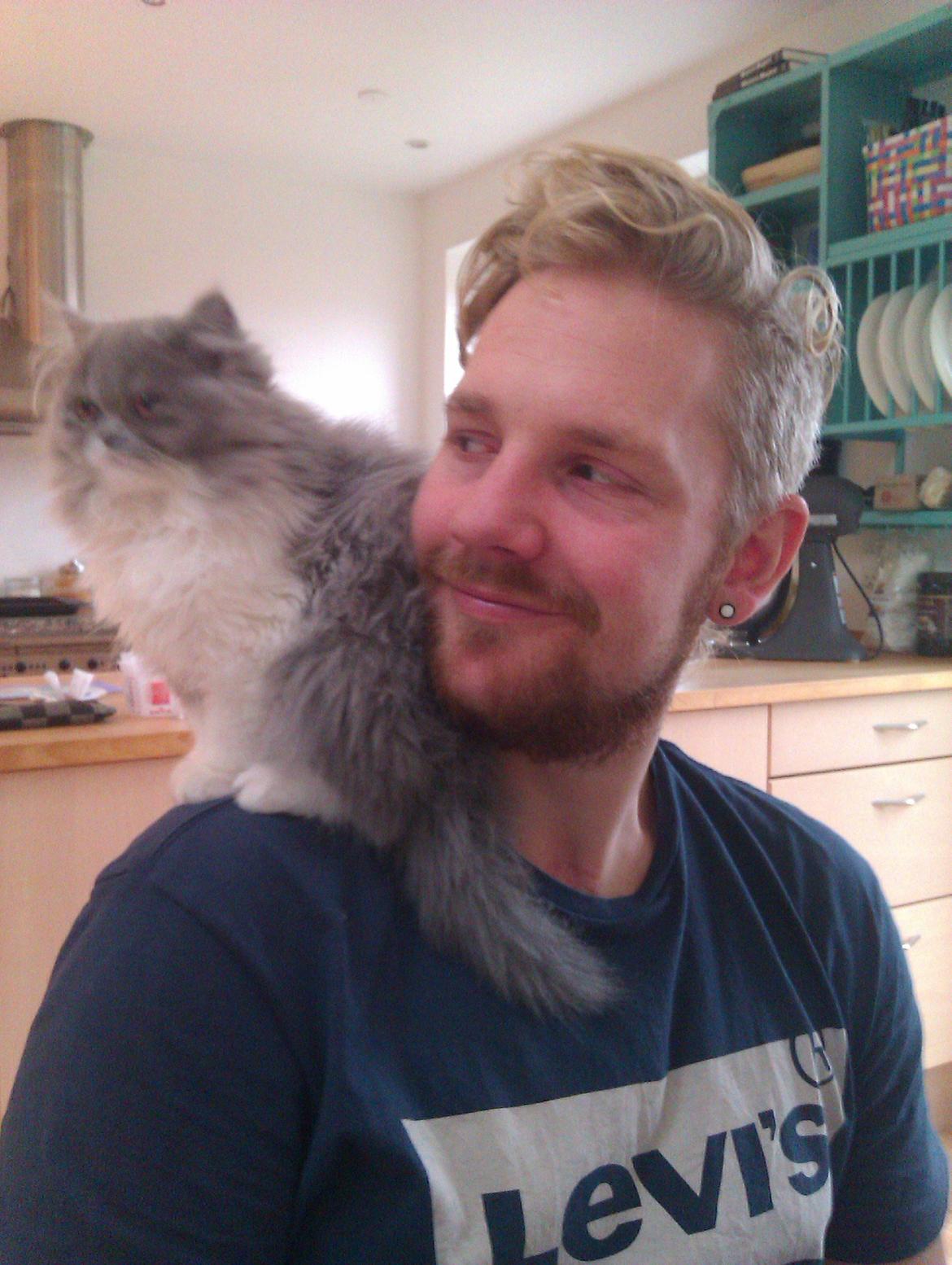 Perser Kamma billede 10